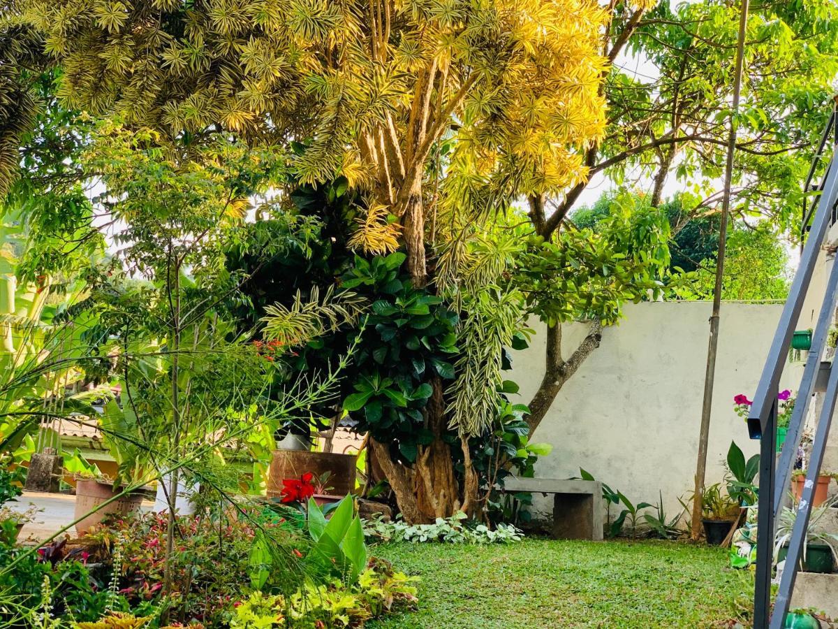 Hotel Heaven Breeze Kandy Esterno foto